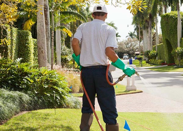 About Philmont NY Pest Control